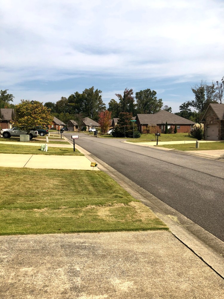 ©2020michaelgouldgroup.cm